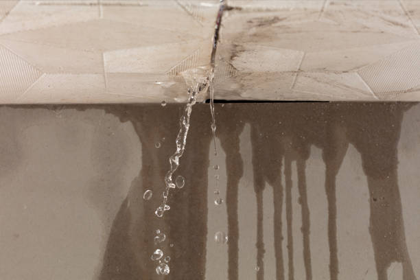 Professional Structural Drying technician working in West Harrison, NY